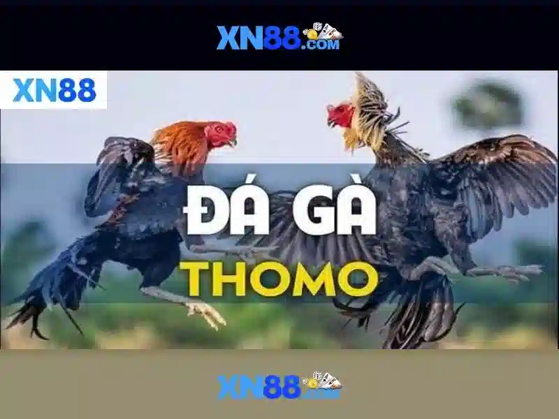 Cac tinh nang noi bat cua xn88