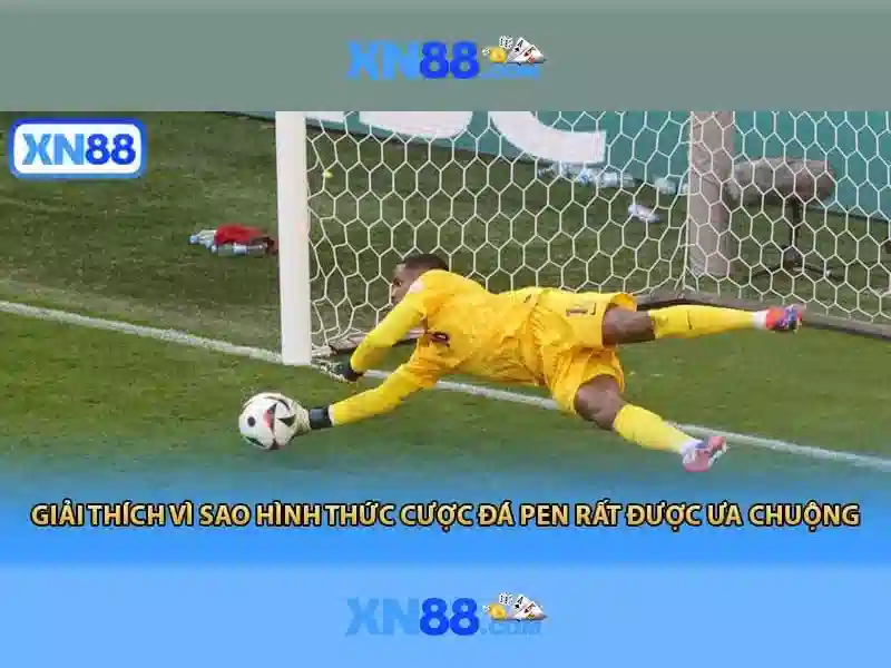 Giới thiệu về xn88