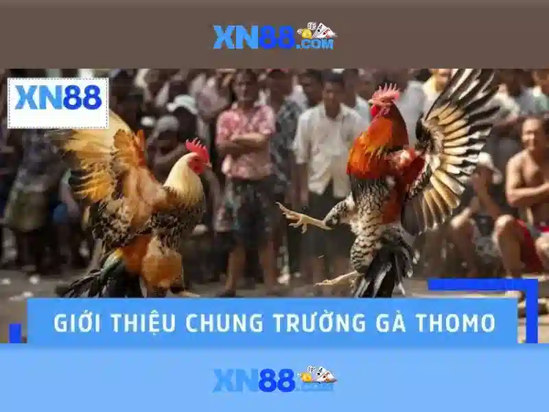 Giao diện nhà cái hoàn hảo