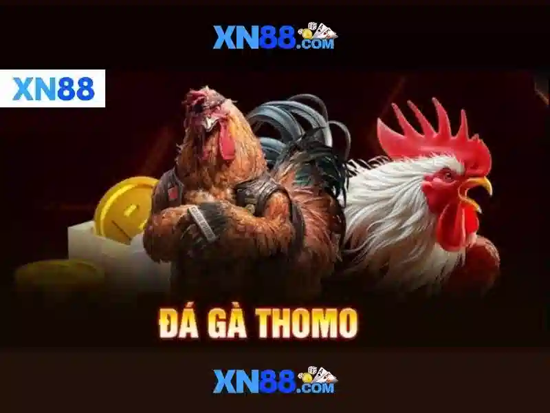 Những điểm nổi bật của xn88