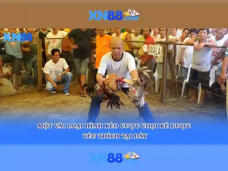 xn88 - Tổng quan và đánh giá Giao diện nhà cái hoàn hảo