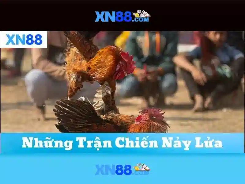 Giao diện nhà cái hoàn hảo