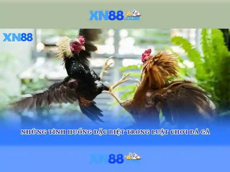 Ưu đãi và trải nghiệm người dùng