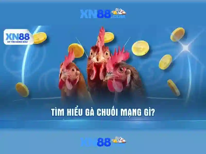 Kết luận và khuyến nghị