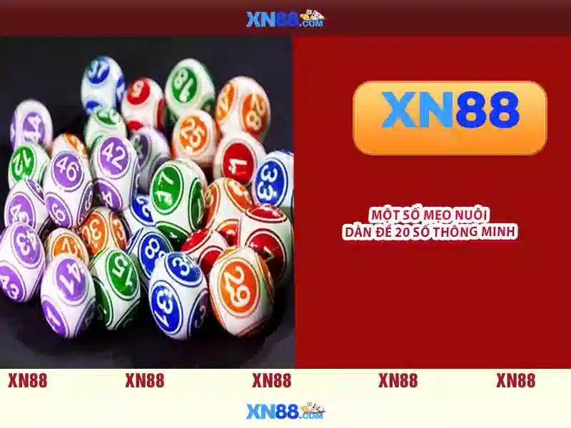Giới thiệu về xn88