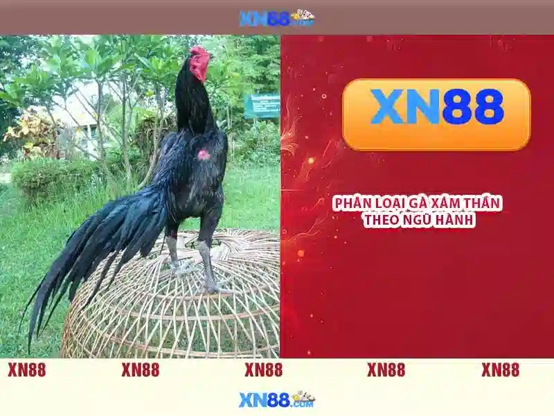 xn88: Nền tảng giải trí trực tuyến và sự phát triển của nó Giao diện nhà cái hoàn hảo
