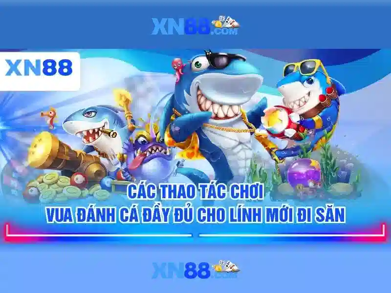 Giới thiệu về xn88