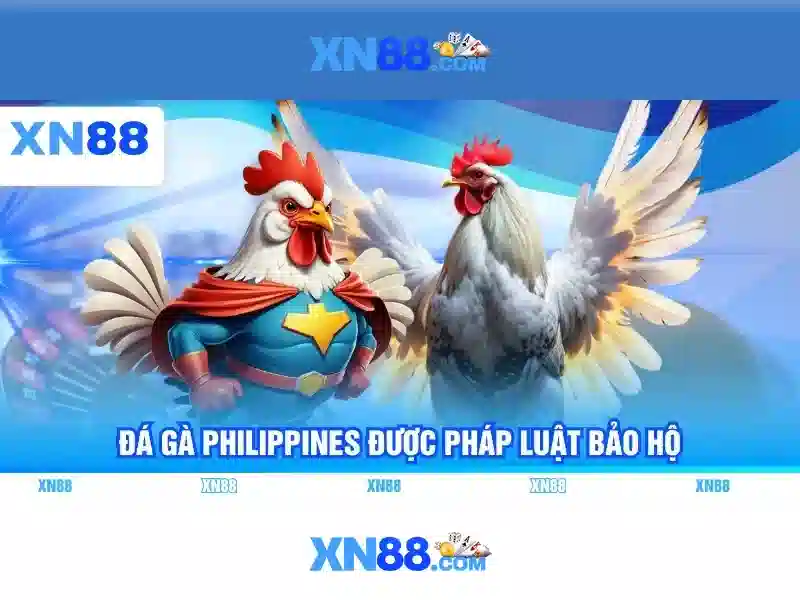Nền tảng và trò chơi
