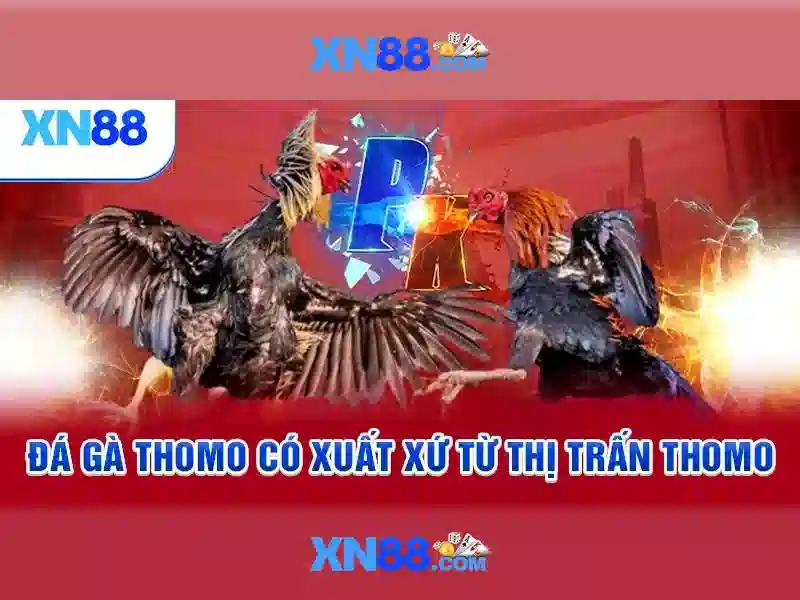 Lợi ích của nền tảng XN88