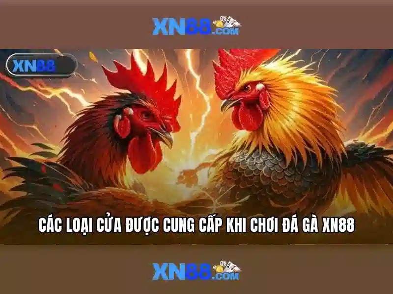 Kết luận về xn88