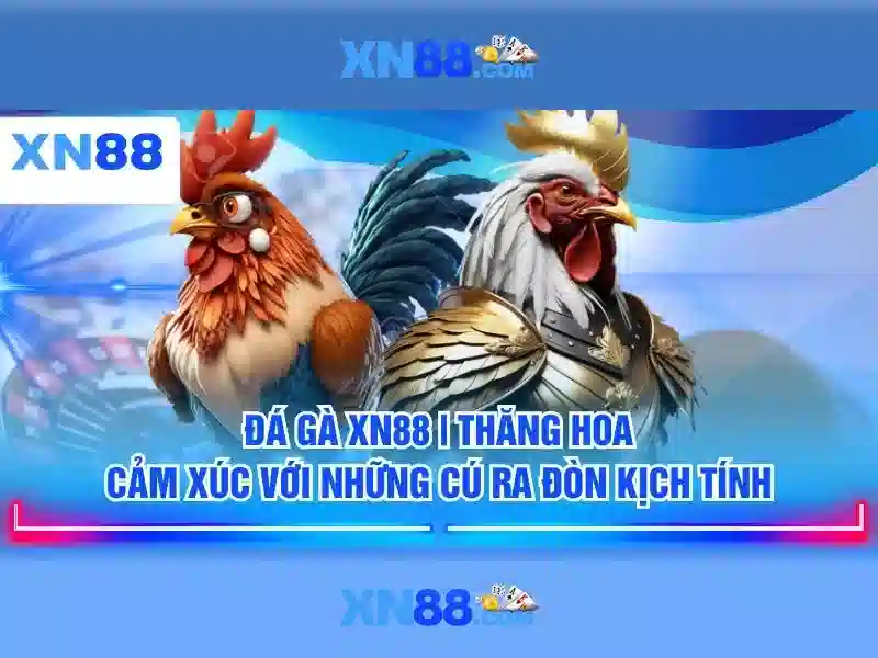 Giới thiệu về XN88