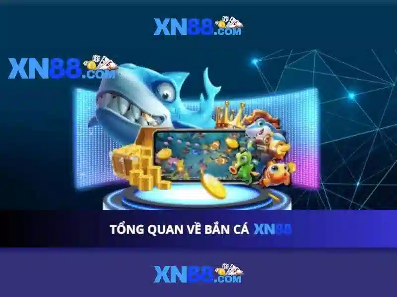 An toàn và trách nhiệm khi tham gia