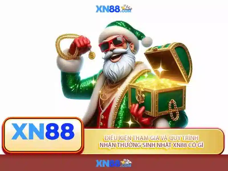 Trải nghiệm người dùng và phản hồi
