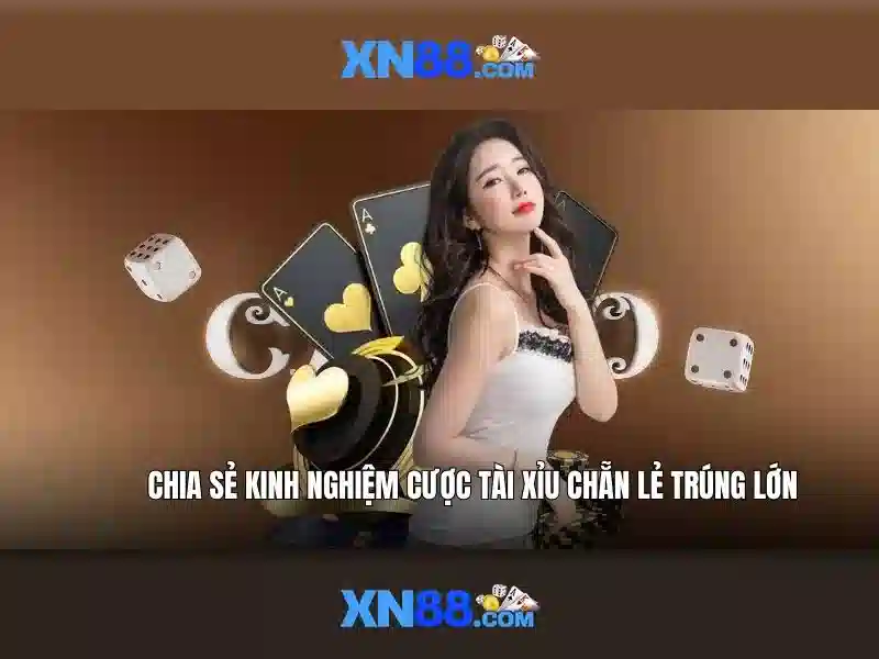 mô tả bằng tiếng Việt