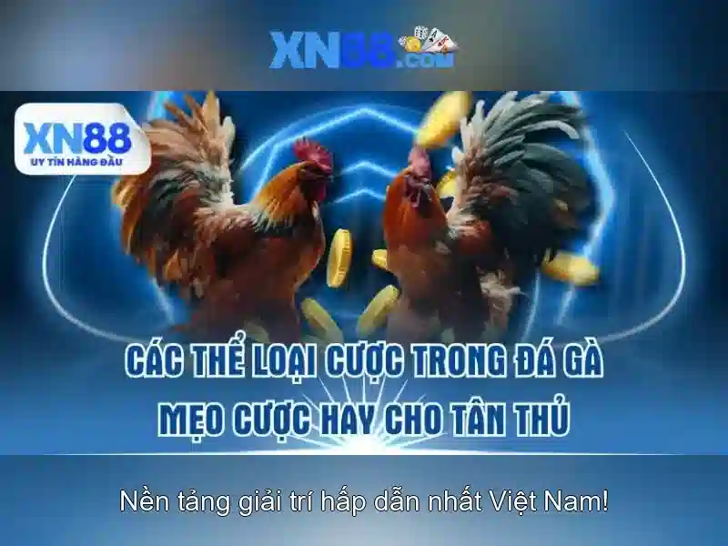 Giao diện nhà cái hoàn hảo