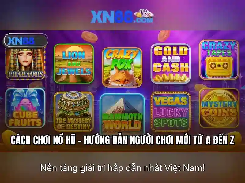 Giới thiệu về xn88