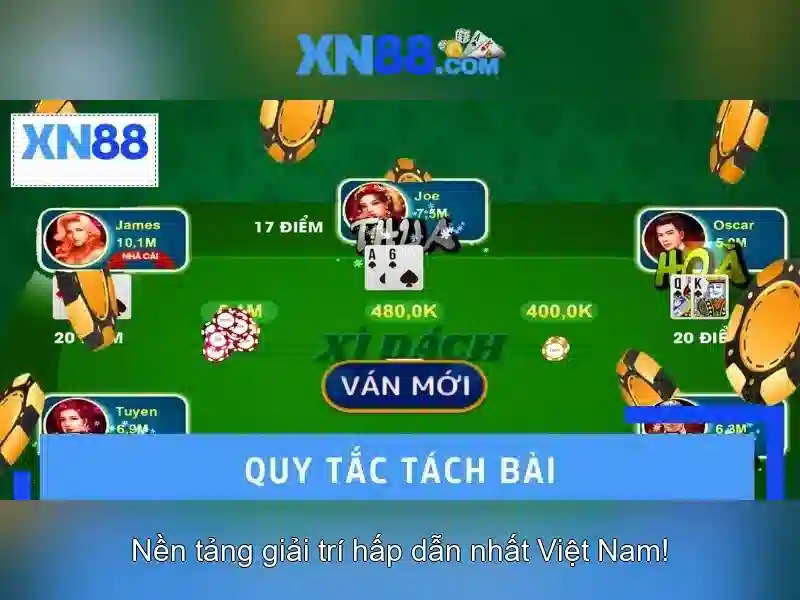 Hỗ trợ người dùng và nhận xét