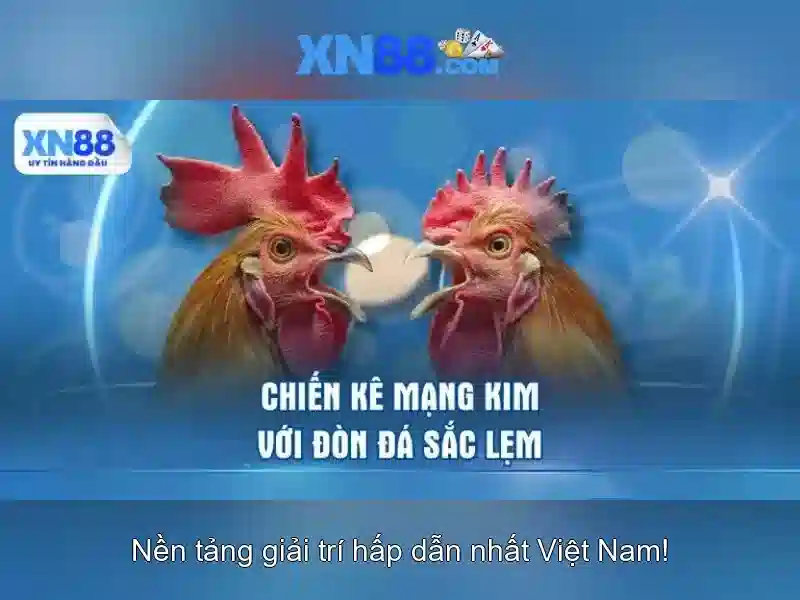 Các trò chơi và dịch vụ