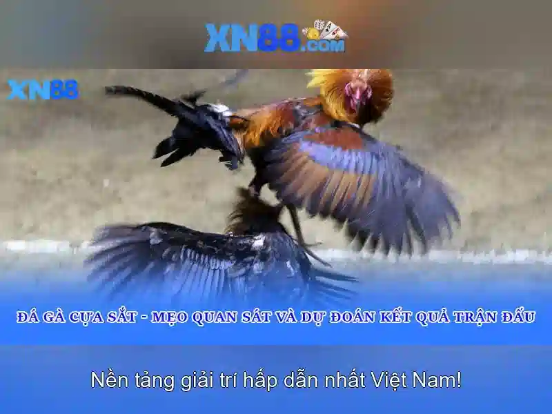 Gioi thieu ve xn88
