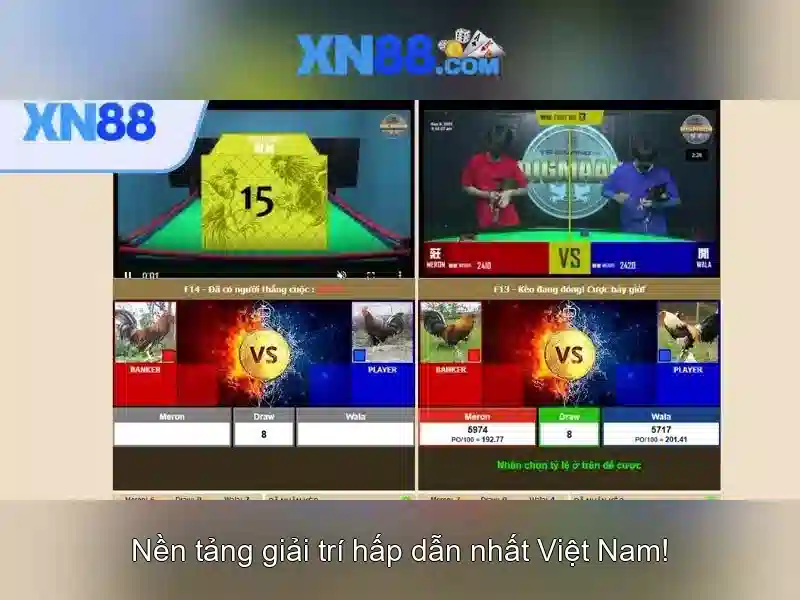 Giao diện nhà cái hoàn hảo