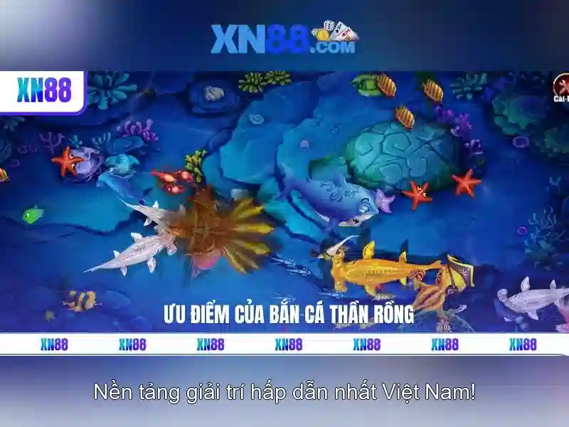 Giới thiệu về xn88