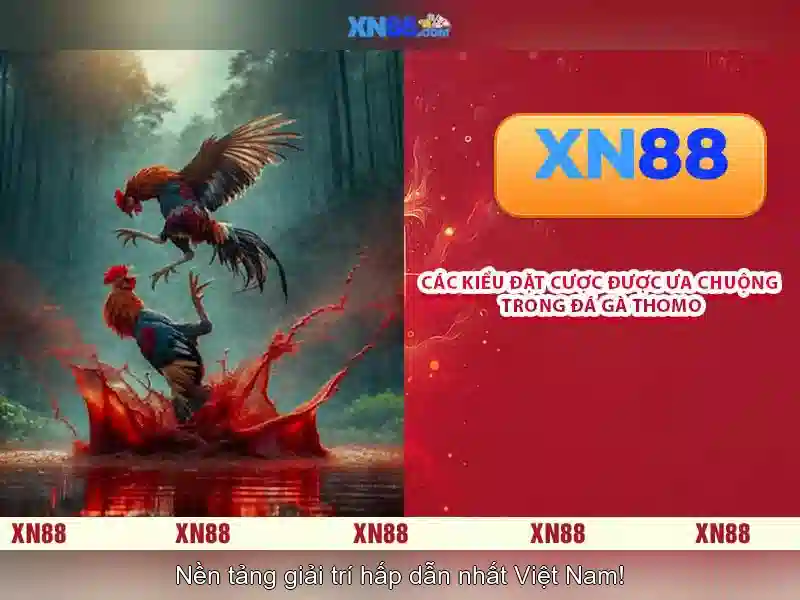 Giới thiệu về xn88