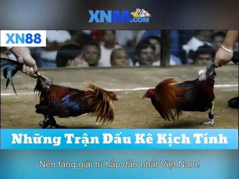 An toàn và trách nhiệm khi chơi trên xn88