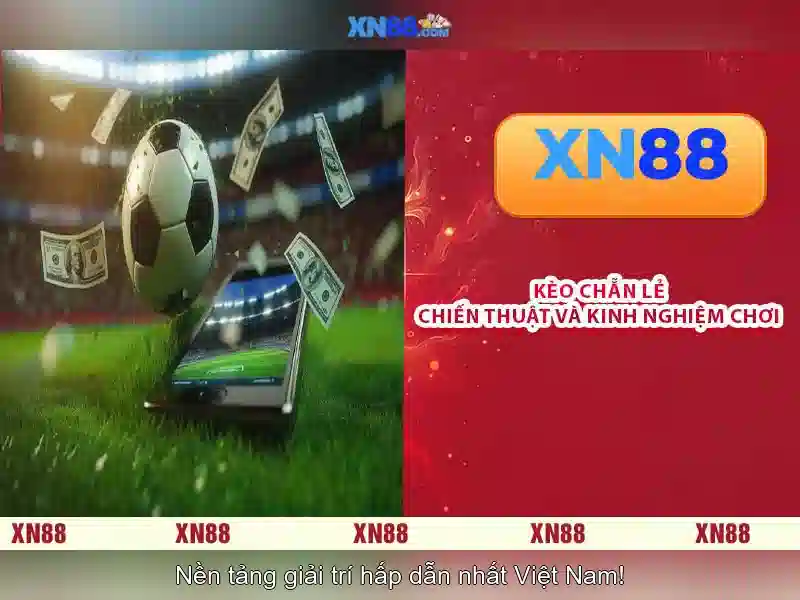 Lịch sử và nguồn gốc của xn88