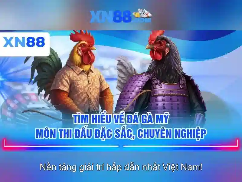 Lịch sử và sự phát triển