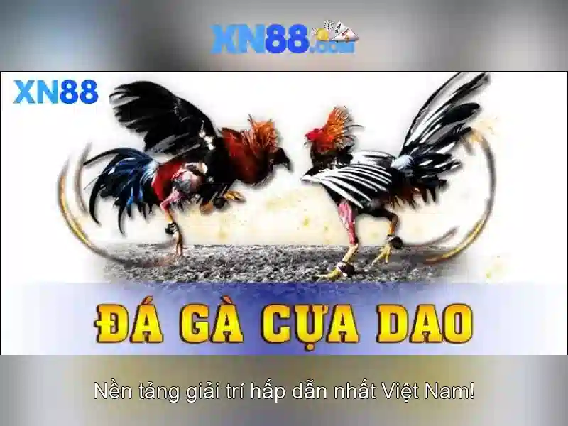 Giao diện nhà cái hoàn hảo