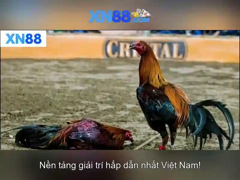 Giao diện nhà cái hoàn hảo