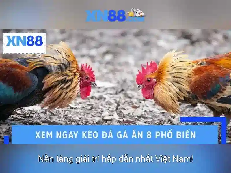 Những đặc điểm nổi bật của xn88