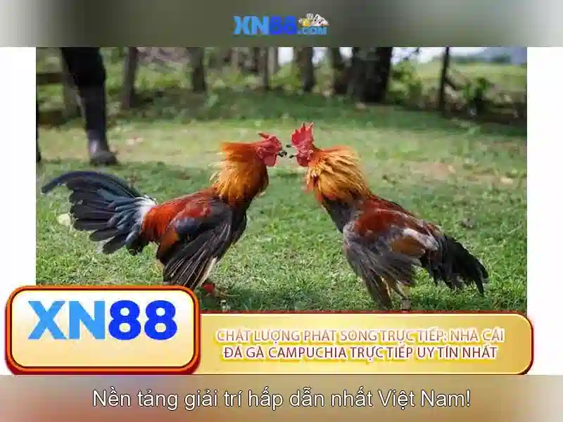 Giao diện nhà cái hoàn hảo