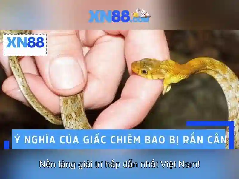 Danh mục trò chơi và dịch vụ