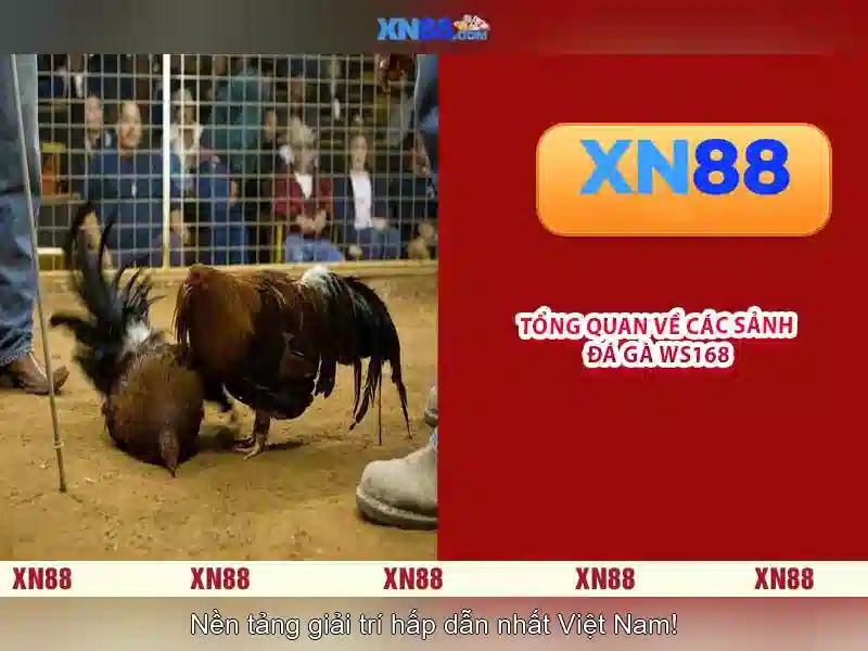 xn88 là gì: tổng quan và ứng dụng Giao diện nhà cái hoàn hảo