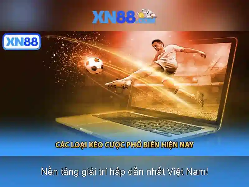 Đặc điểm nổi bật