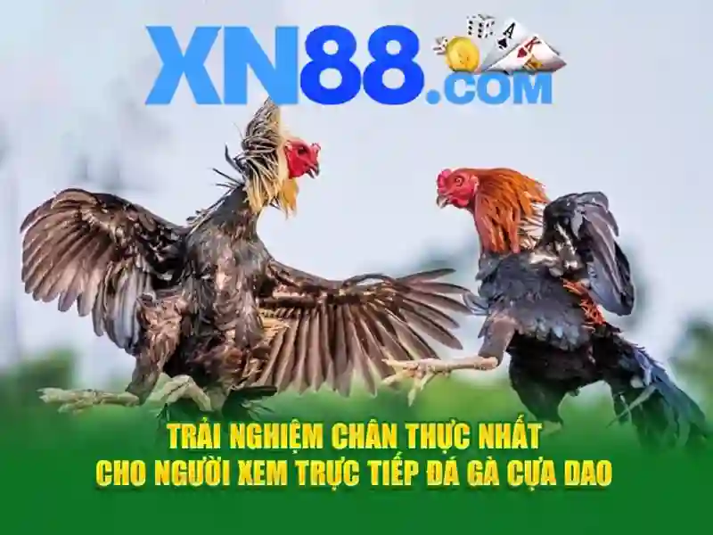 Hướng dẫn cài đặt ứng dụng xn88 trên hệ điều hành iOS