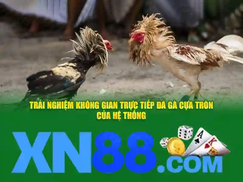 Nền tảng giải trí và cá cược trực tuyến